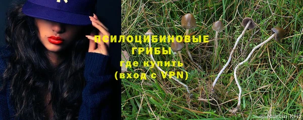 амф Уссурийск