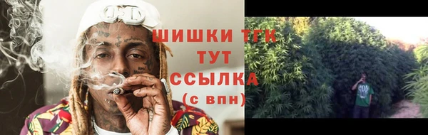 стафф Михайлов