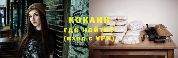 стафф Михайлов