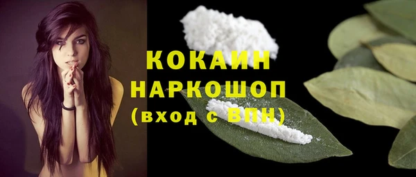 стафф Михайлов