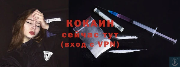стафф Михайлов